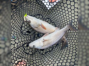 Gunny B Outdoors – Swansboro/Emerald Isle thumbnail