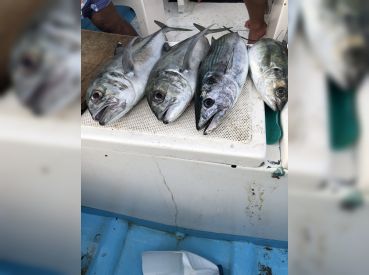 Fishing With Regis and Mencho thumbnail