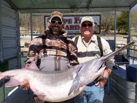 90 lb spoonbill on Table Rock lake 