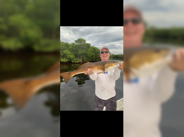 Fish Whistle Charters