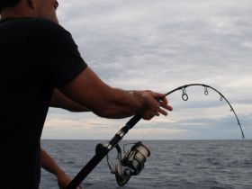 jigging