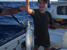 bonito