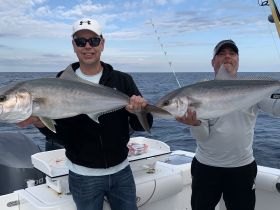 Double Time Offshore Fishing Charters