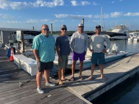 Family Sharkfishing & Dolphin Discoveries