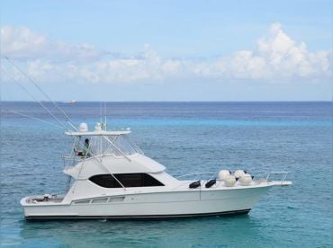 Javichos Tours – 50' Hatteras thumbnail