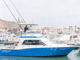 Charter Image