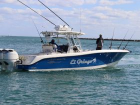 Charter Image