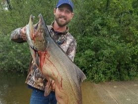 giant king salmon on "light" line is a riot