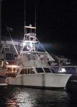 Fish Whistle Chartering