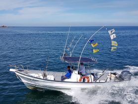 Charter Image