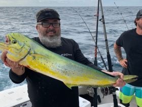 Flying Fish Charters SC