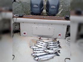 Charter Image
