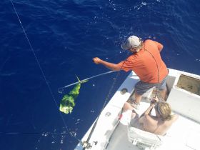 Charter Image