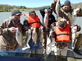 Cherokee Lake Fishing Charter – 24'
