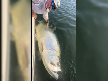 SoFlo Inshore Charters