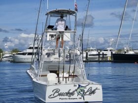 Charter Image