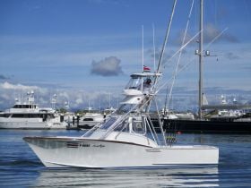 Charter Image