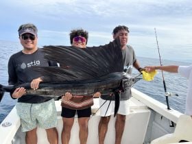 Charter Image