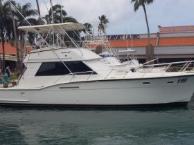 Hatts Off Charters - 46ft Hatteras