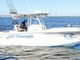 Apex Charters And Rentals