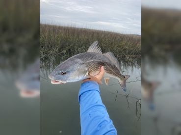 Spartina Adventures thumbnail