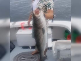 Charter Image