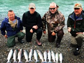 Discover Alaskan Adventures–Salmon