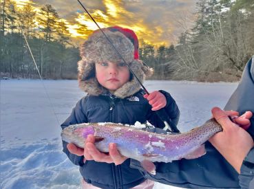 Peterson's Guide Service Of Maine