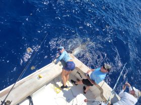 Charter Image