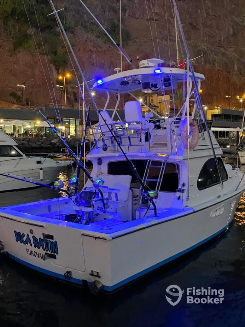 Boat Image