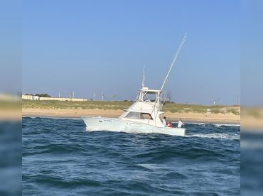 Sea Teaser Sportfishing – Virginia Beach