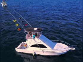 Charter Image