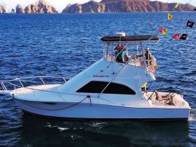 Charter Image