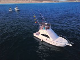 Charter Image