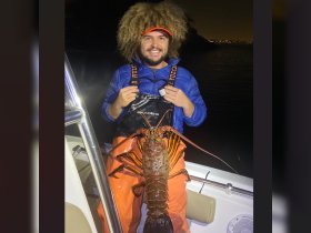 Captain Woody's PB Spiny Lobster