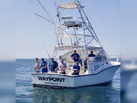 E-FishinSea Sport Fishing Charters LLC