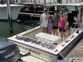 Charter Image
