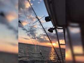 Charter Image