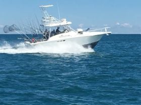 Charter Image