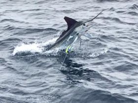 Charter Image