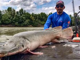 Another tank of the river