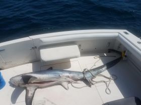 Charter Image