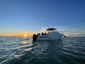 Dauntless–Reef Fishing, Snorkeling & Sunshine