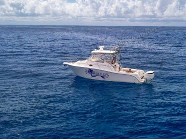 Charter Image