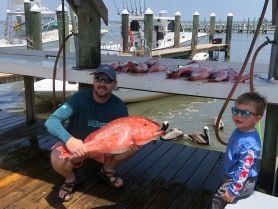 offshore Snapper
