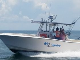 Charter Image