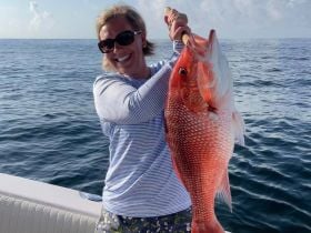 offshore Snapper