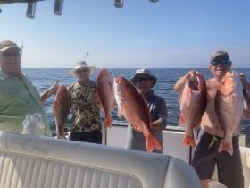 offshore Snapper