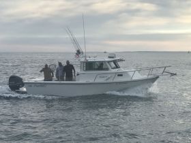 Charter Image