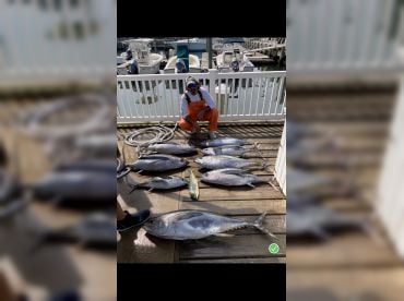 Hudson Fishing Charters